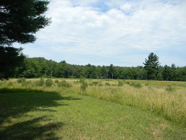 Listing photo 3 for V/L W Hammett Rd, Pentwater MI 49449