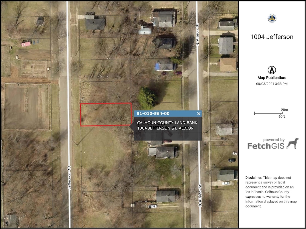 1004 Jefferson St, Albion, MI 49224 - photo 1