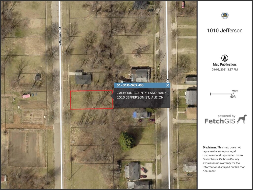 1010 Jefferson St, Albion, MI 49224