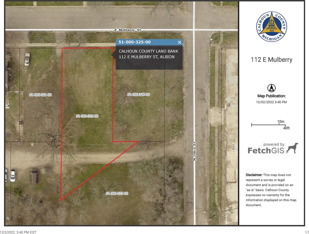 112 E Mulberry St, Albion, MI 49224