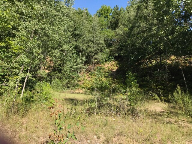 LOTS8 S Riverview Dr, Hesperia, MI 49421 - photo 1