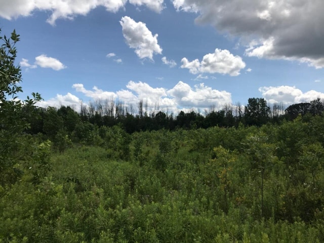 5312 18 Mile Rd NE, Cedar Springs MI, 49319 land for sale