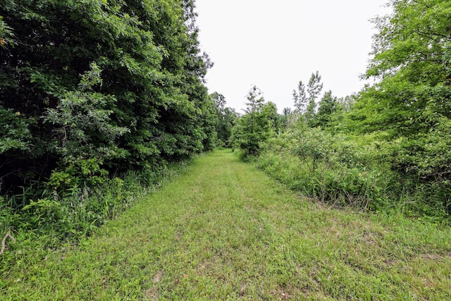 27015 50th St, Bangor, MI 49013 - photo 3