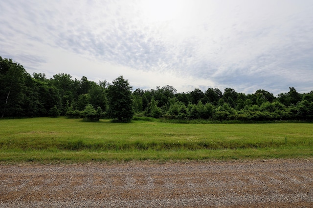 27015 50th St, Bangor, MI 49013 - photo 5