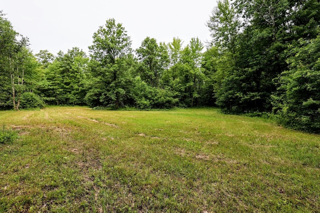 27015 50th St, Bangor, MI 49013 - photo 8