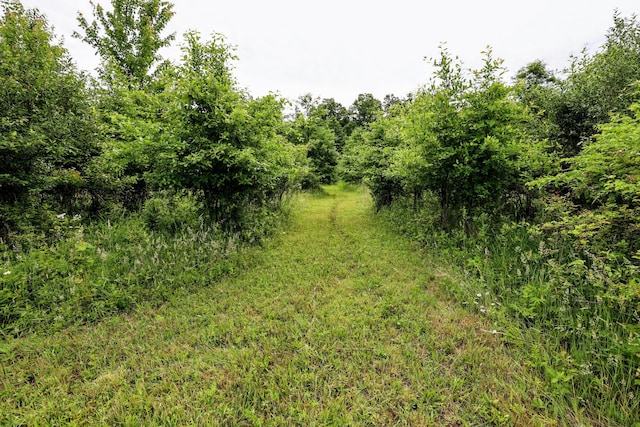 27015 50th St, Bangor, MI 49013 - photo 13