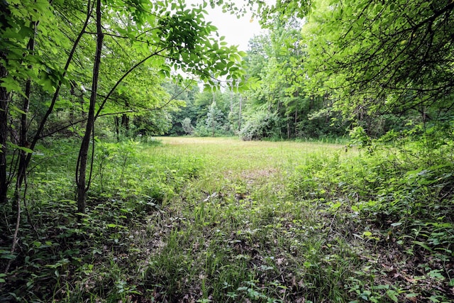27015 50th St, Bangor, MI 49013 - photo 23