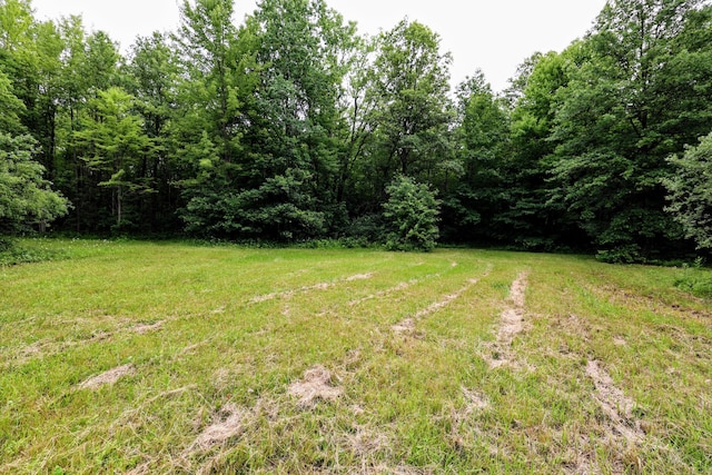 27015 50th St, Bangor, MI 49013 - photo 25