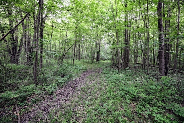 27015 50th St, Bangor, MI 49013 - photo 27