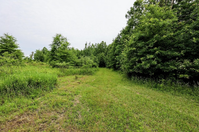 27015 50th St, Bangor, MI 49013 - photo 29