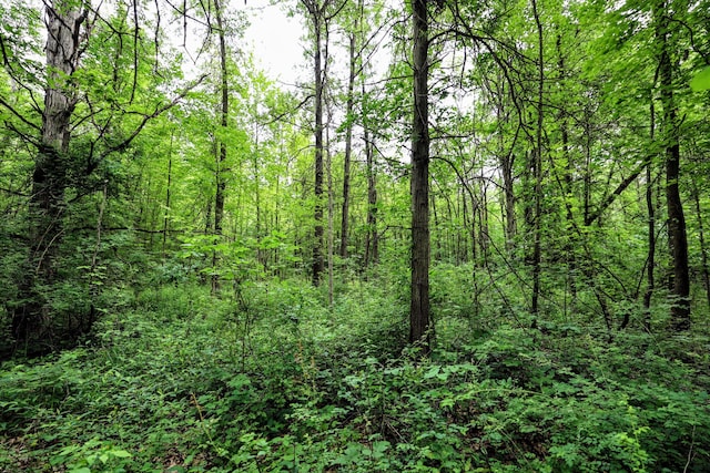 27015 50th St, Bangor, MI 49013 - photo 31