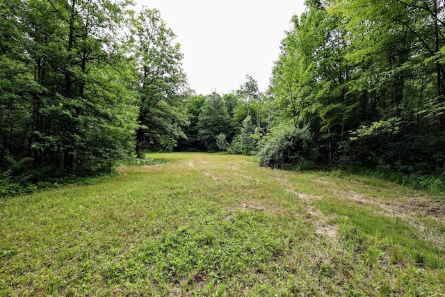 27015 50th St, Bangor, MI 49013 - photo 34