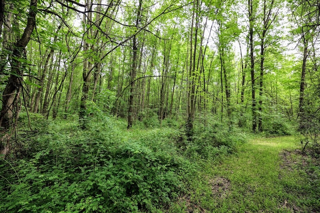27015 50th St, Bangor, MI 49013 - photo 38