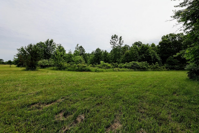 27015 50th St, Bangor, MI 49013 - photo 39