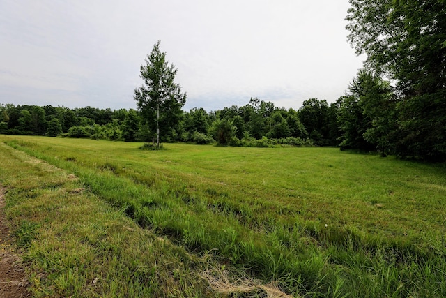 27015 50th St, Bangor, MI 49013 - photo 40
