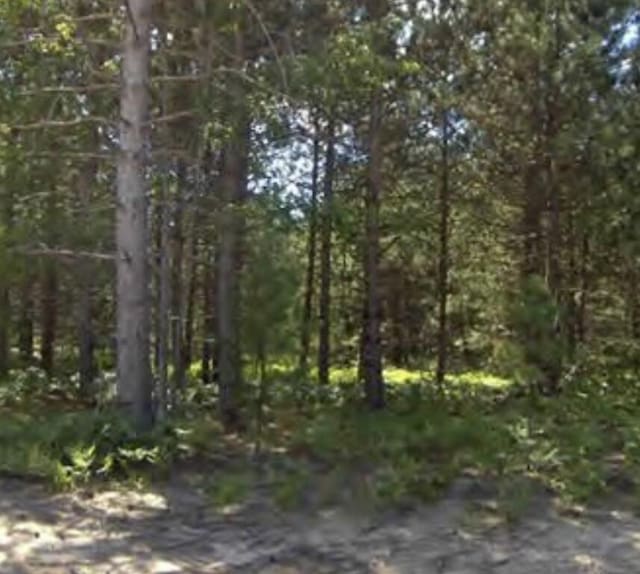 Bergstrom Dr, Kaleva MI, 49645 land for sale