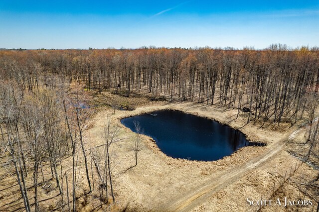 bird's eye view with a water view