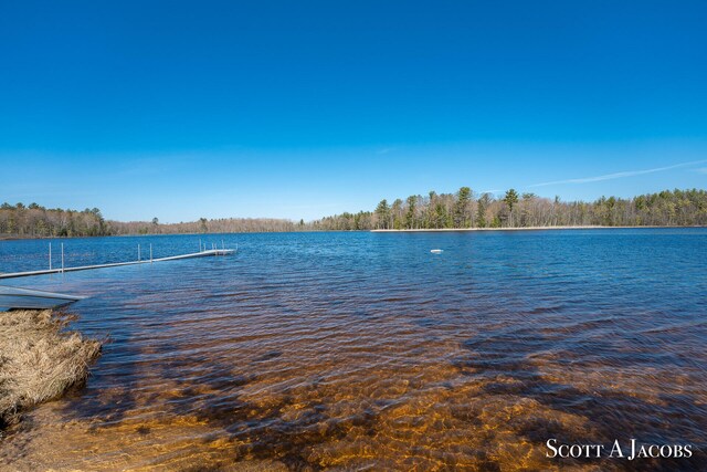 property view of water