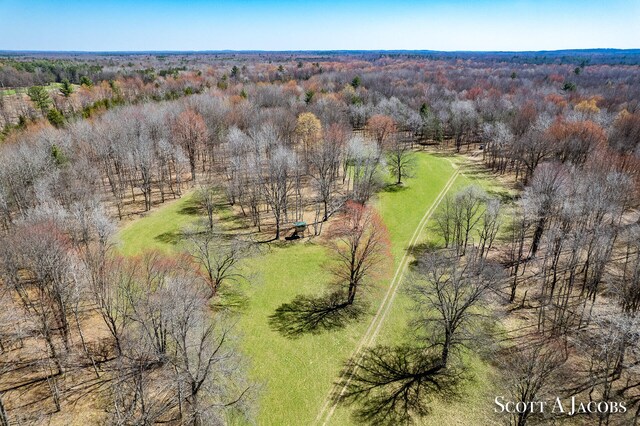 bird's eye view