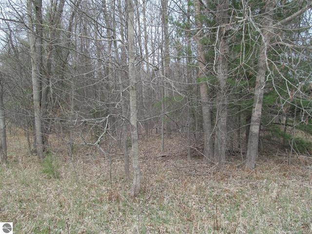 Listing photo 2 for LOT7 W Blue Rd, Lake City MI 49651