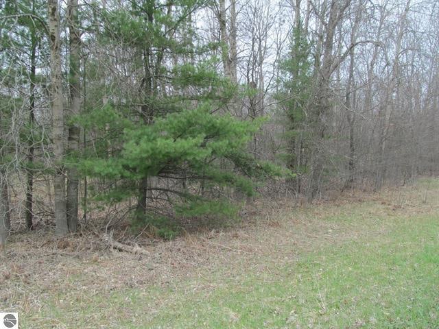 Listing photo 3 for LOT7 W Blue Rd, Lake City MI 49651