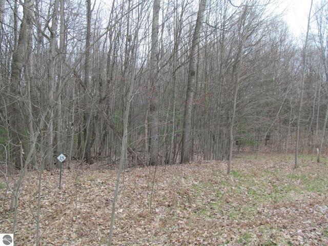 Listing photo 2 for LOT25 River Woods Rd, Lake City MI 49651