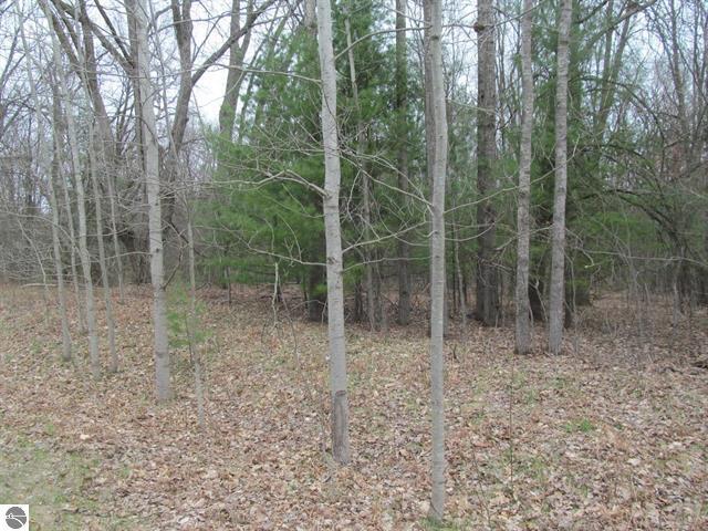 Listing photo 3 for LOT25 River Woods Rd, Lake City MI 49651