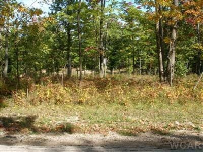 12004 Buchanan Rd Unit 42-43, Canadian Lakes, MI 49346