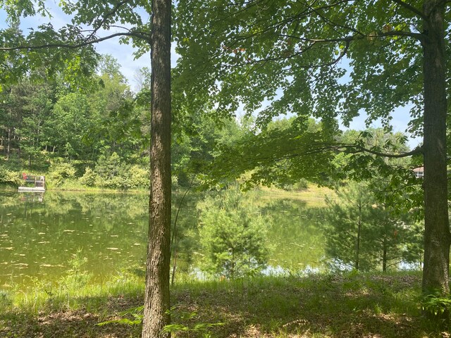 12004 Buchanan Rd Unit 42-43, Canadian Lakes, MI 49346