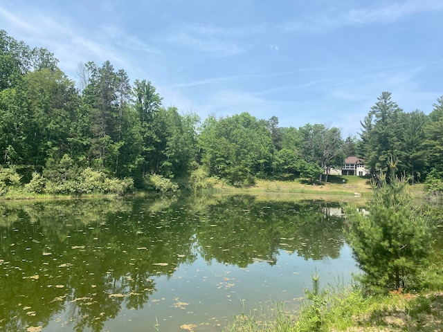 12004 Buchanan Rd Unit 42-43, Canadian Lakes, MI 49346