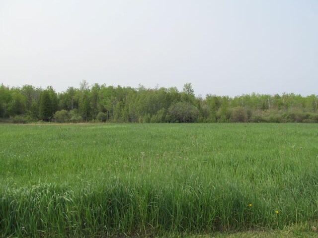 16LOTS S Hemlock St, Mcbain, MI 49657 - photo 12