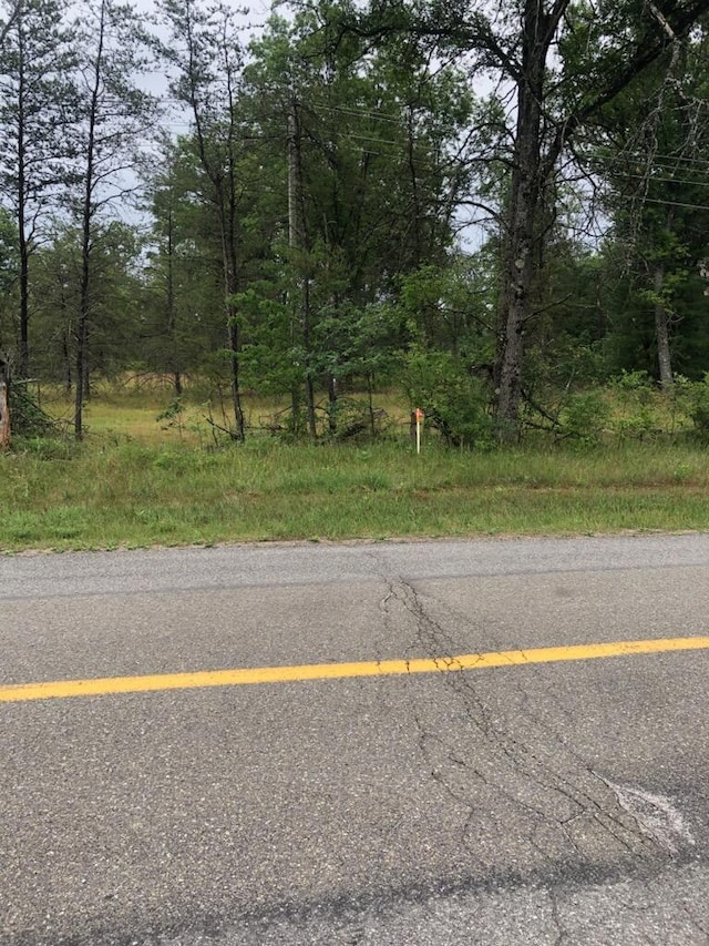 VL S Forman Rd, Idlewild, MI 49642