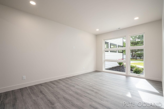 spare room with wood-type flooring