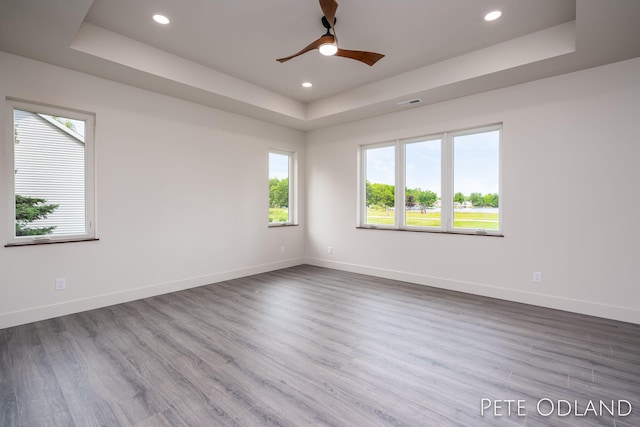 spare room with a raised ceiling and wood-type flooring