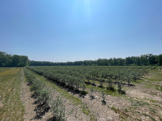 V/L E Townline Rd, Free Soil MI, 49411 land for sale