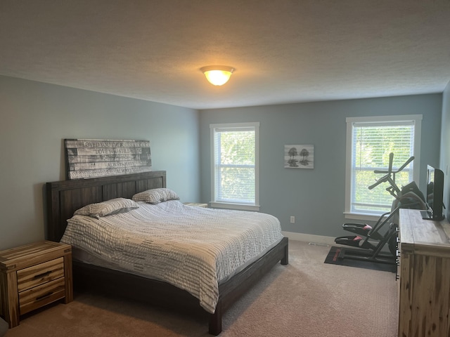 727 Wild Flower Ct, Wayland, MI 49348 - bedroom featuring multiple windows and carpet