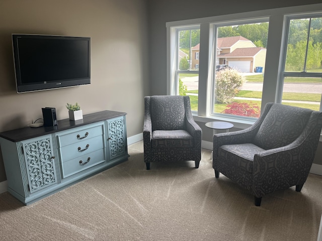 727 Wild Flower Ct, Wayland, MI 49348 - sitting room featuring carpet and healthy amount of natural light