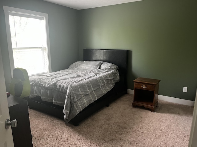 727 Wild Flower Ct, Wayland, MI 49348 - bedroom featuring multiple windows and carpet flooring