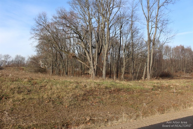 0 Lindsey Rd, Jackson MI, 49201 land for sale