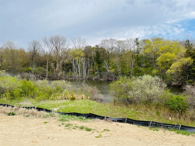 view of local wilderness with a water view