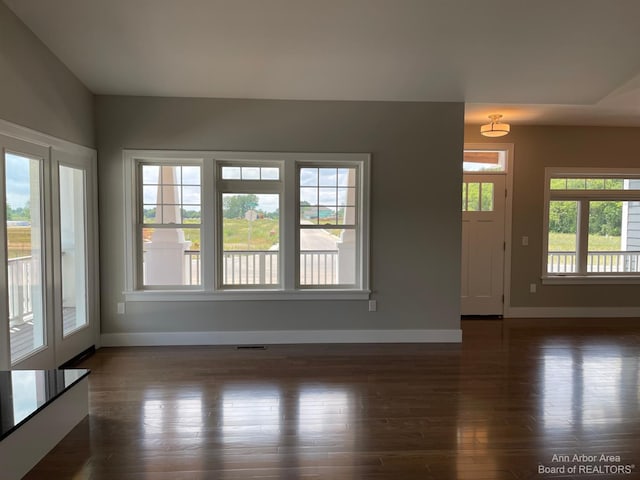 interior space with a wealth of natural light and dark hardwood / wood-style flooring