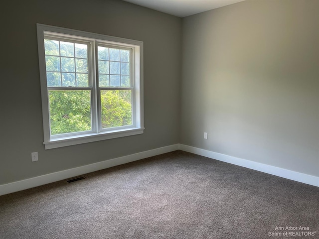 spare room featuring plenty of natural light and carpet