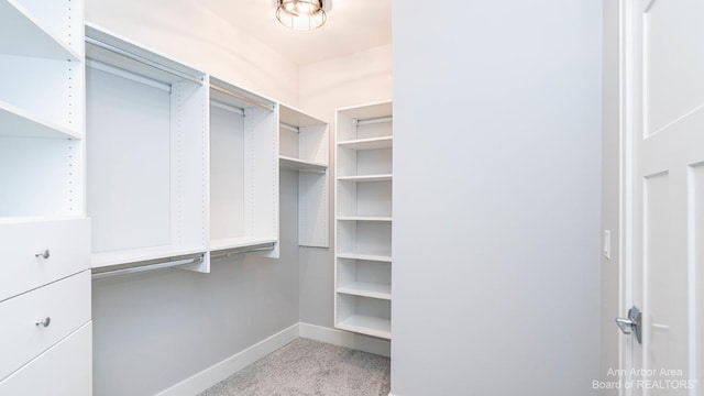 walk in closet featuring light colored carpet