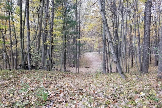 11960 Huron Ct, Canadian Lakes, MI 49346 - photo 2