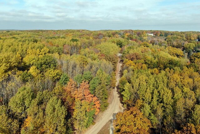 11960 Huron Ct, Canadian Lakes, MI 49346 - photo 3