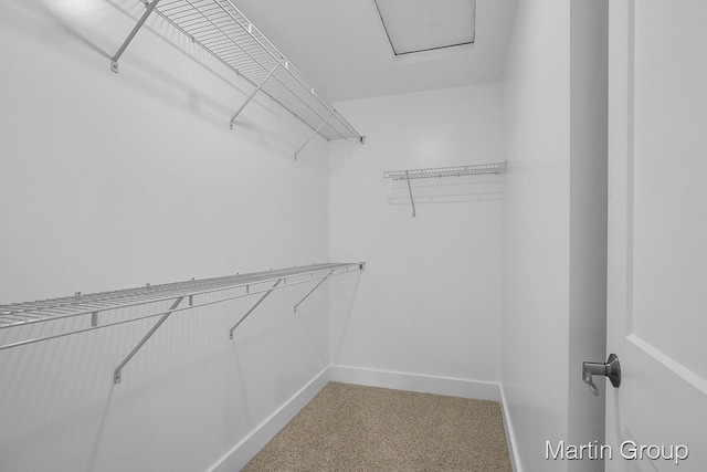 walk in closet with carpet floors