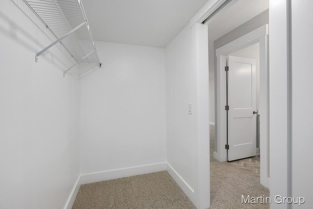 spacious closet featuring light carpet