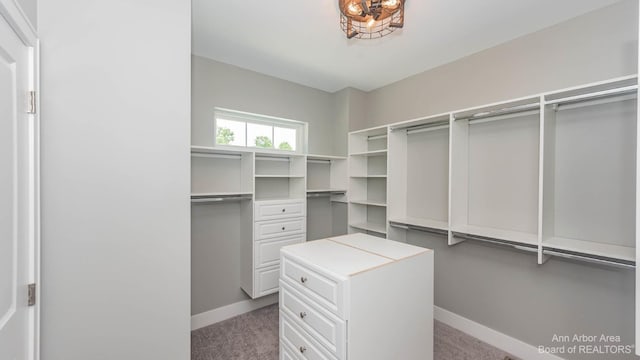 walk in closet with carpet flooring