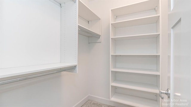 view of spacious closet