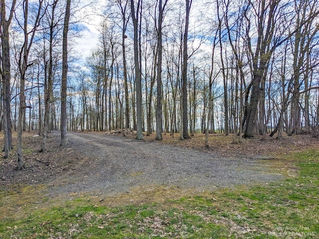 11800 W Michigan Ave, Saline, MI 48176 - photo 3
